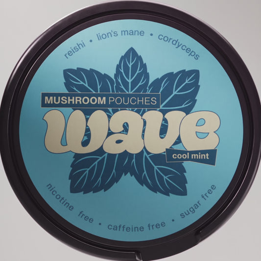 WAVE Pouches mit funktionellen Pilzen