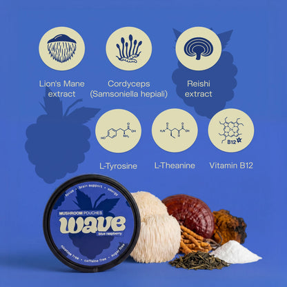 WAVE Nootropic Pilz-Pouches